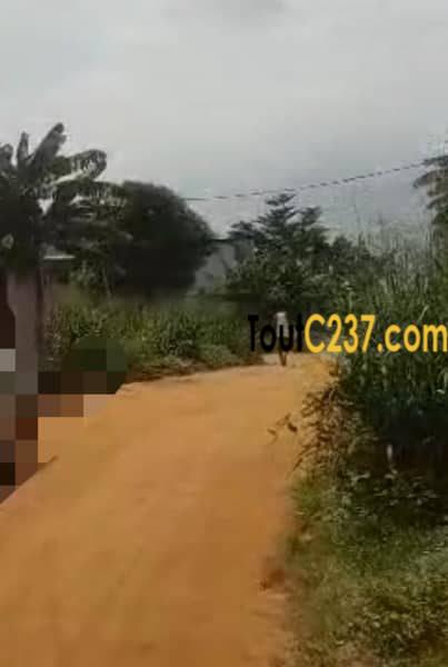Urgent Terrain à vendre à Logpom (Bangos)
