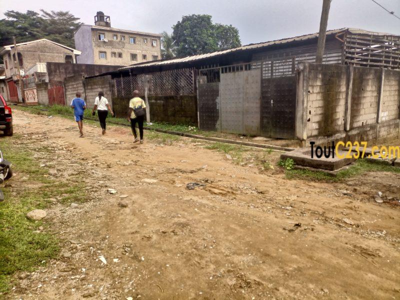 Terrain d'angle à vendre à Bonamoussadi Douala