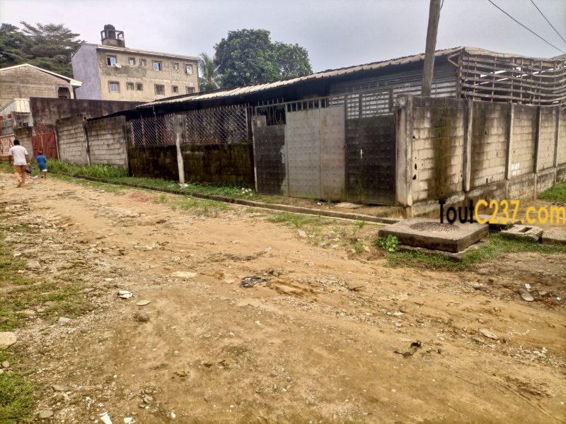 Terrain d'angle à vendre à Bonamoussadi Douala