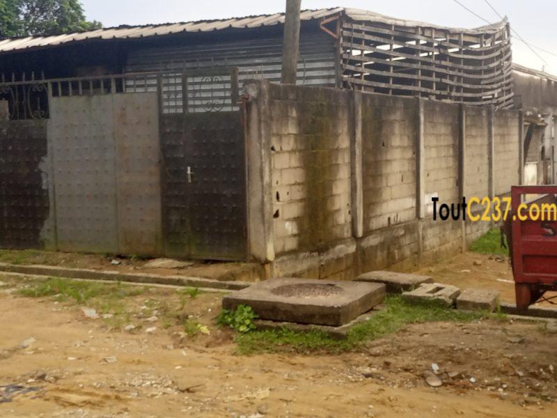 Terrain d'angle à vendre à Bonamoussadi Douala