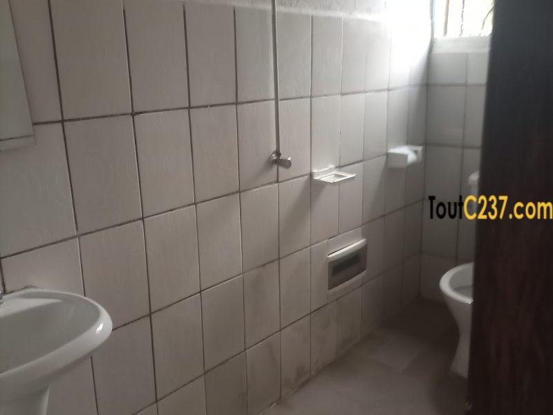 Appartement neuf à louer à Logbessou en face iuc