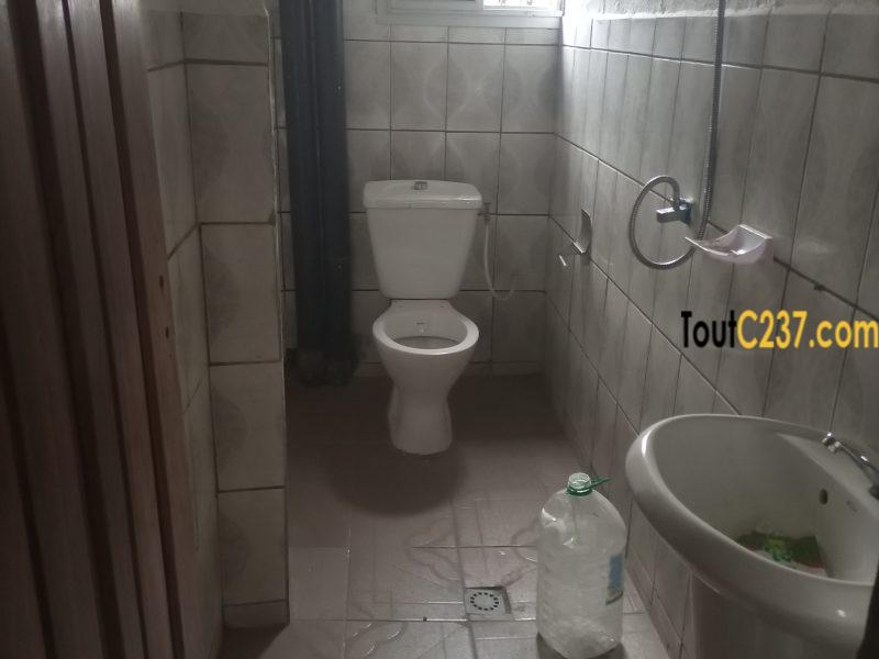 Appartement neuf à louer à Logbessou en face iuc