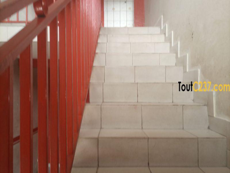 Boutique avec mezzanine à louer à Logpom