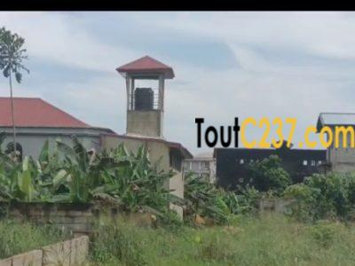 Terrain à vendre à Lendi, Douala