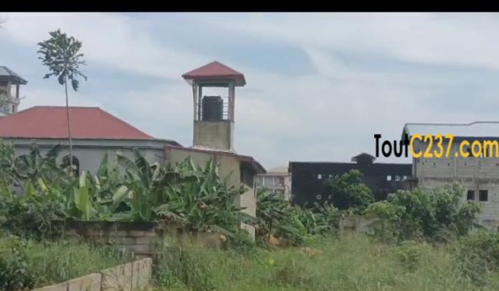 Terrain à vendre à Lendi, Douala