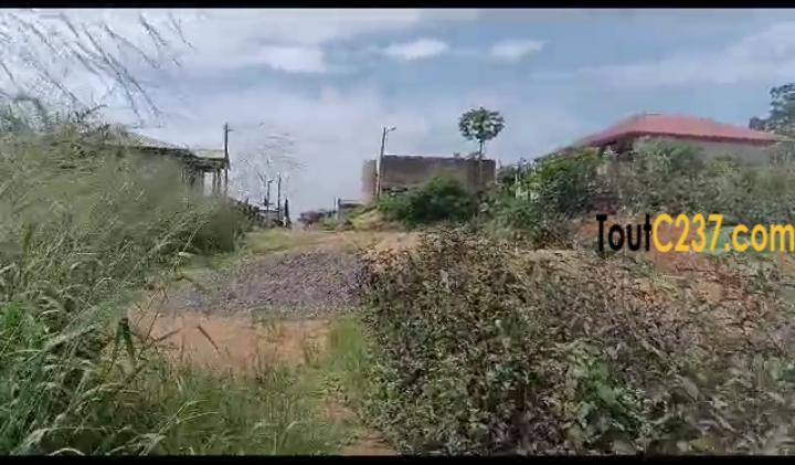 Terrain à vendre à Lendi, Douala
