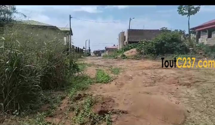 Terrain à vendre à Lendi, Douala