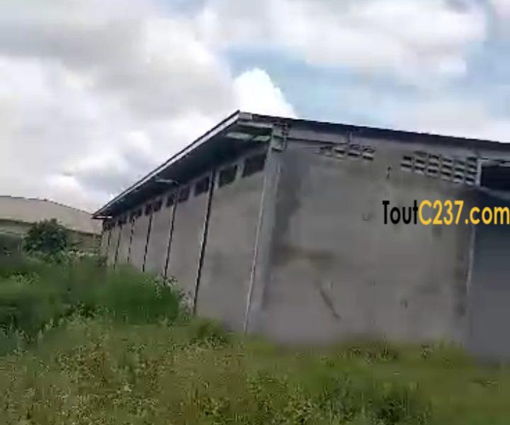 Entrepot à louer à Yassa(Brôli)