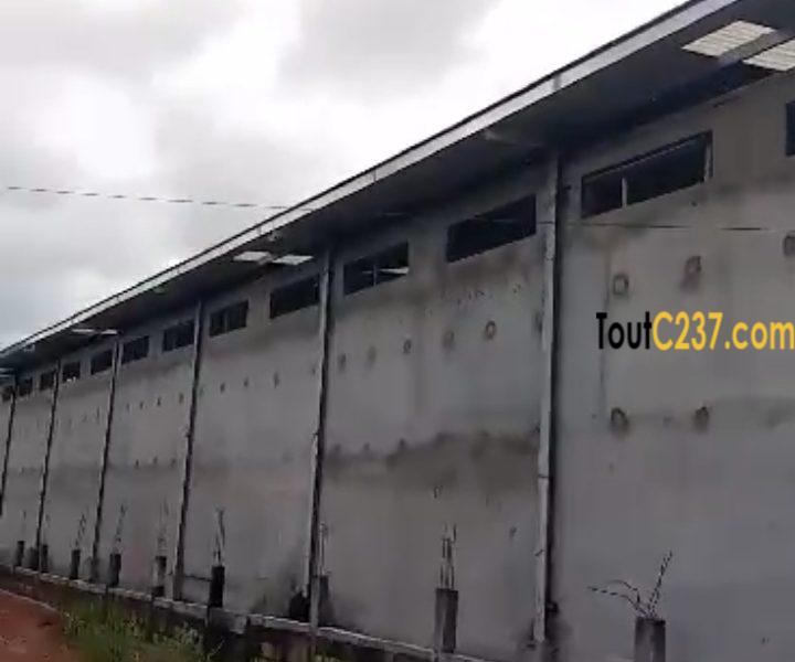 Entrepot à louer à Yassa(Brôli)