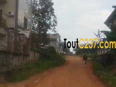 Terrain à vendre à Logbessou (temoin de jehovah)