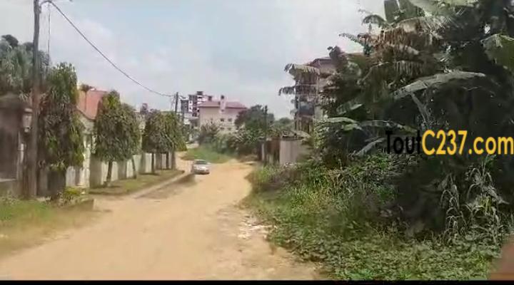 Terrain de 500m² à vendre à Logpom (Njoya)