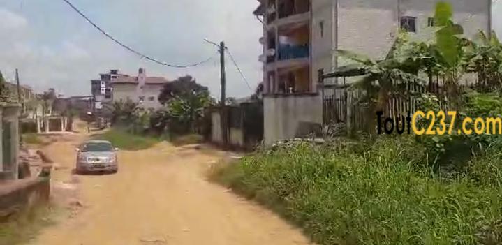 Terrain de 500m² à vendre à Logpom (Njoya)