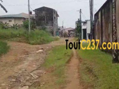 Terrain de 300m² à vendre à Makepe, (Afriland)