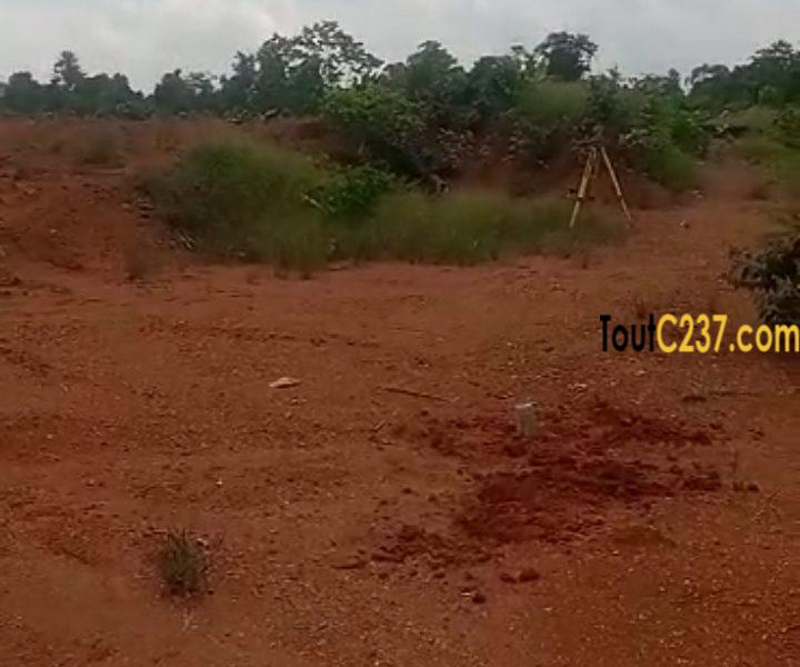 Terrain à vendre à Lendi, Douala