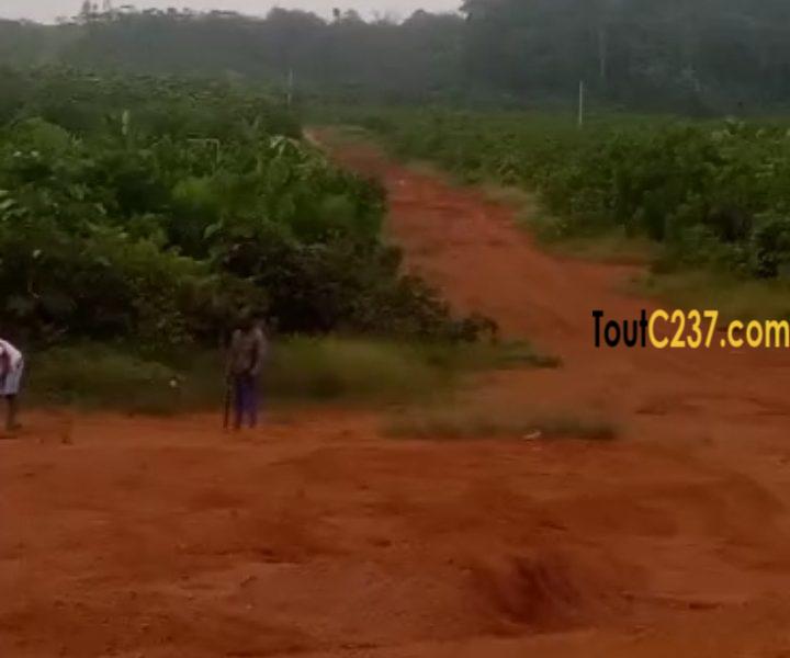 Terrain à vendre à Lendi, Douala
