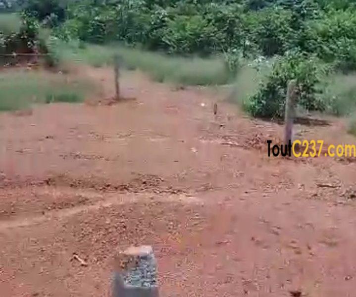 Terrain à vendre à Lendi, Douala