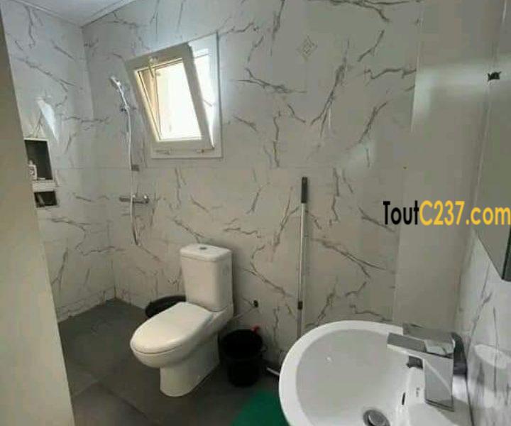 Appartements neufs à louer à Bonapriso Douala