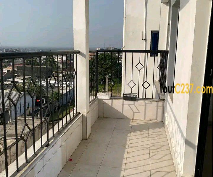 Appartement à louer à Kotto, Douala