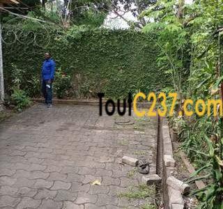 Terrain d'angle Commercial à vendre à Bonapriso