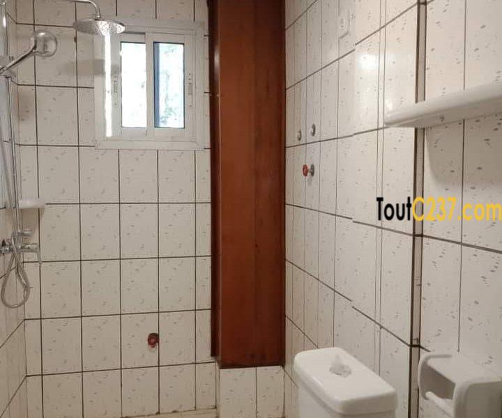 Appartement à louer à Bonamoussadi Douala
