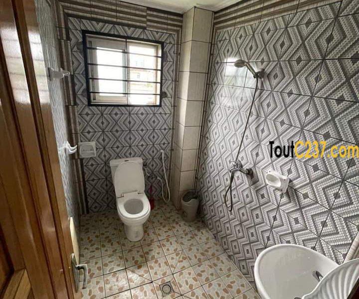 Appartement à louer à Bonamoussadi Douala