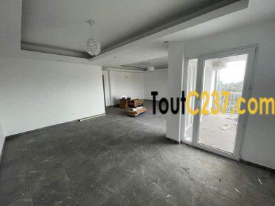 Appartement à louer à Bonapriso Douala