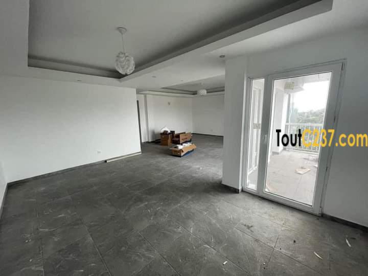 Appartement à louer à Bonapriso Douala
