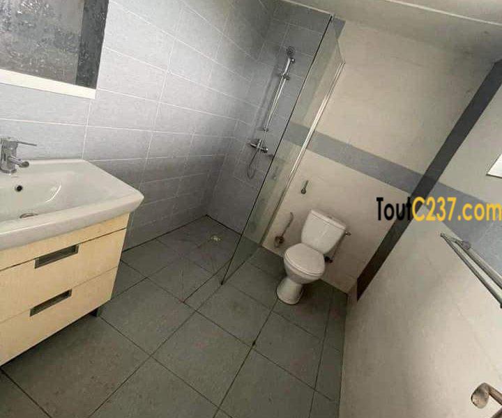 Appartement à louer à Bonapriso Douala