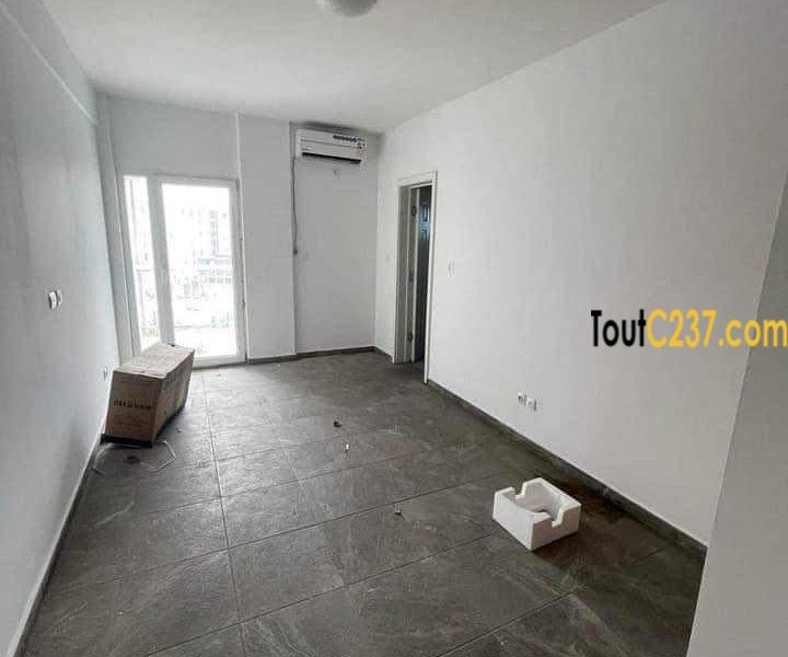 Appartement à louer à Bonapriso Douala