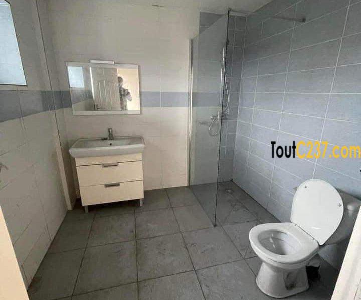 Appartement à louer à Bonapriso Douala