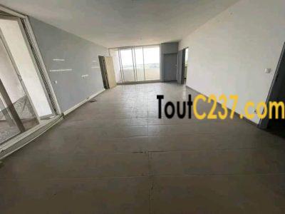 Vaste appartement à louer à Bonanjo, Douala
