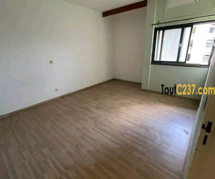 Vaste appartement à louer à Bonanjo, Douala