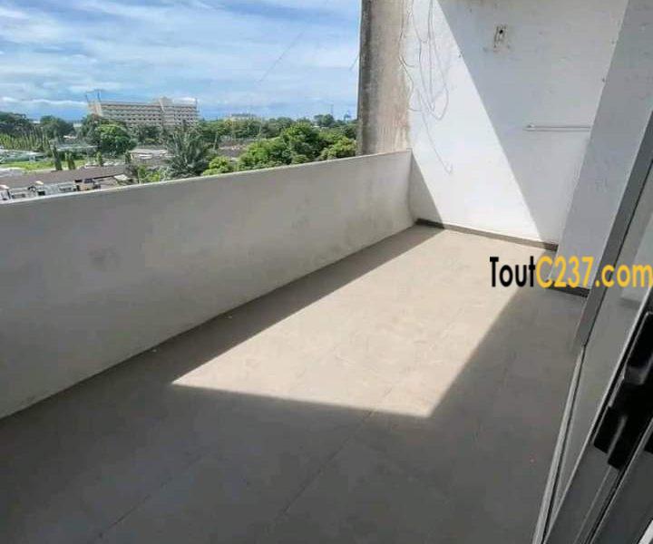 Vaste appartement à louer à Bonanjo, Douala