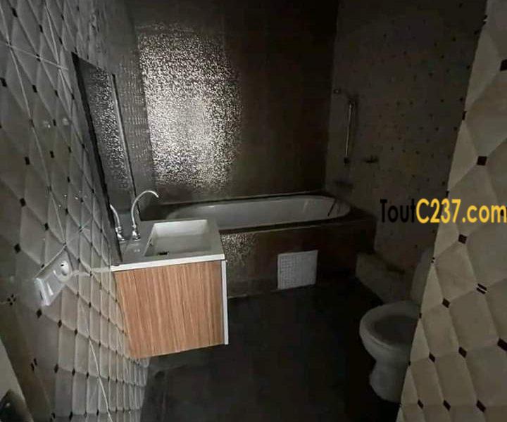 Vaste appartement à louer à Bonanjo, Douala