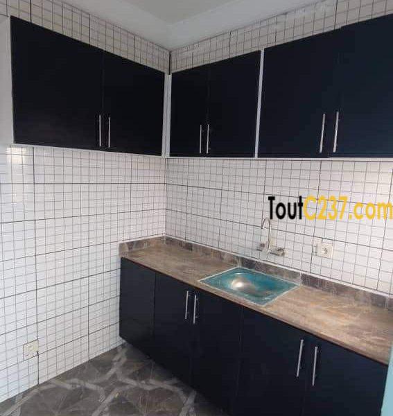 Vaste appartement neuf à louer à Makepe, Douala