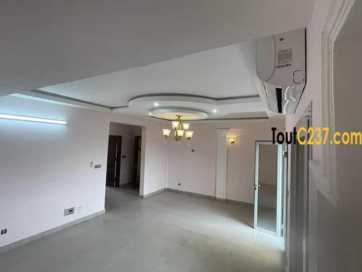 Apparteme't à louer à Bonapriso Douala