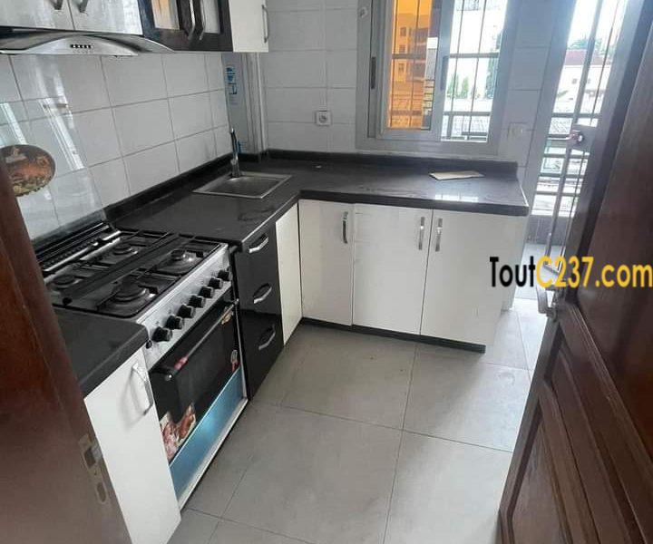 Apparteme't à louer à Bonapriso Douala