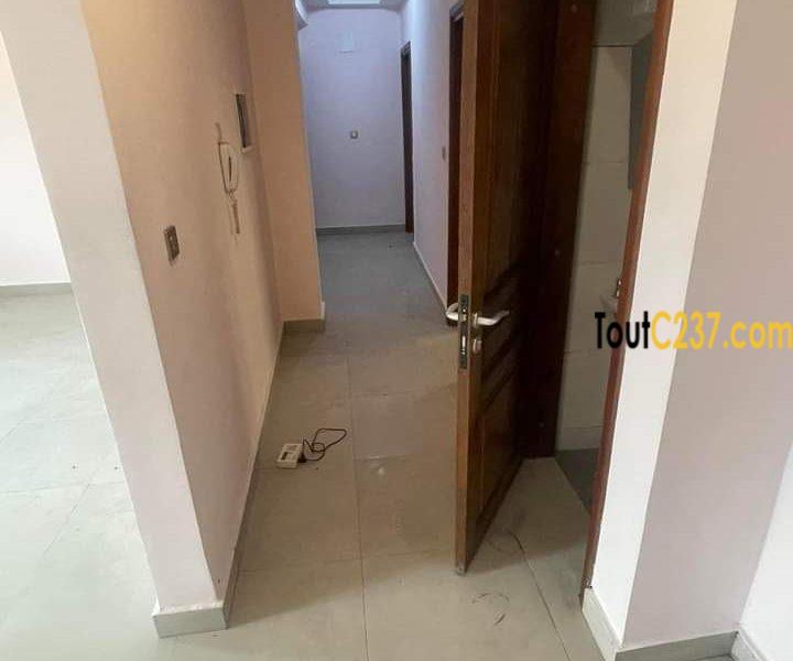 Apparteme't à louer à Bonapriso Douala
