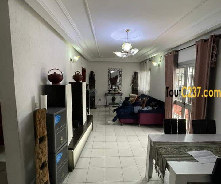 Appartement de 2 chambres à louer à Bonapriso