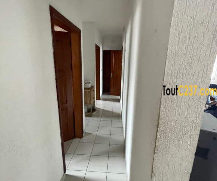 Appartement de 2 chambres à louer à Bonapriso