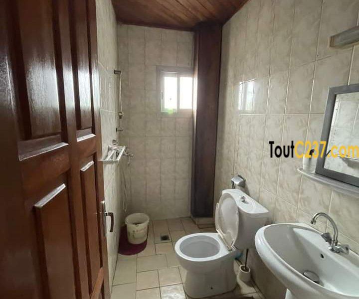 Appartement de 2 chambres à louer à Bonapriso