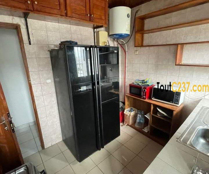 Appartement de 2 chambres à louer à Bonapriso