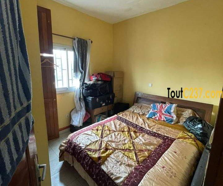 Appartement de 2 chambres à louer à Bonapriso