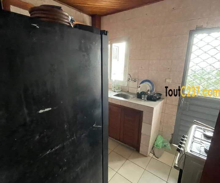 Appartement de 2 chambres à louer à Bonapriso