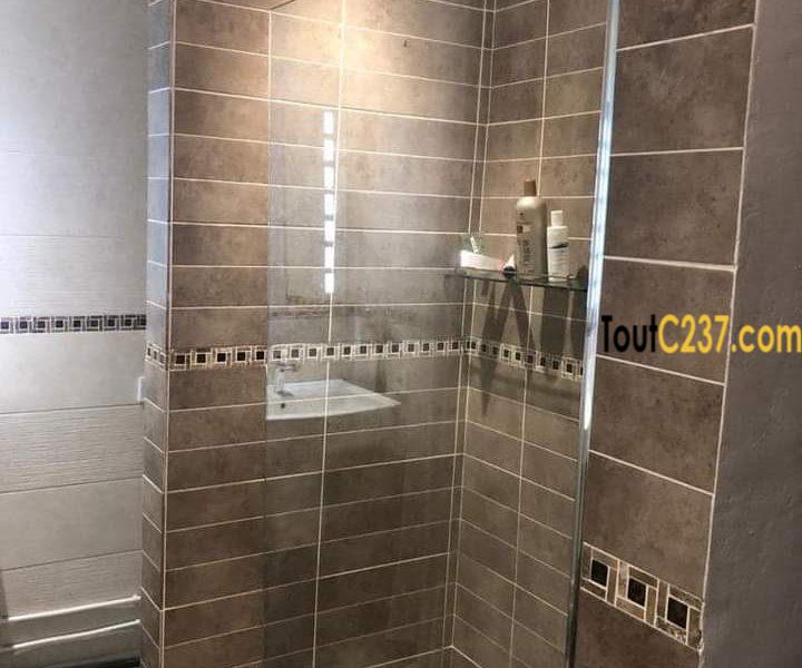 Villa de 3 chambres a louer à Bonapriso