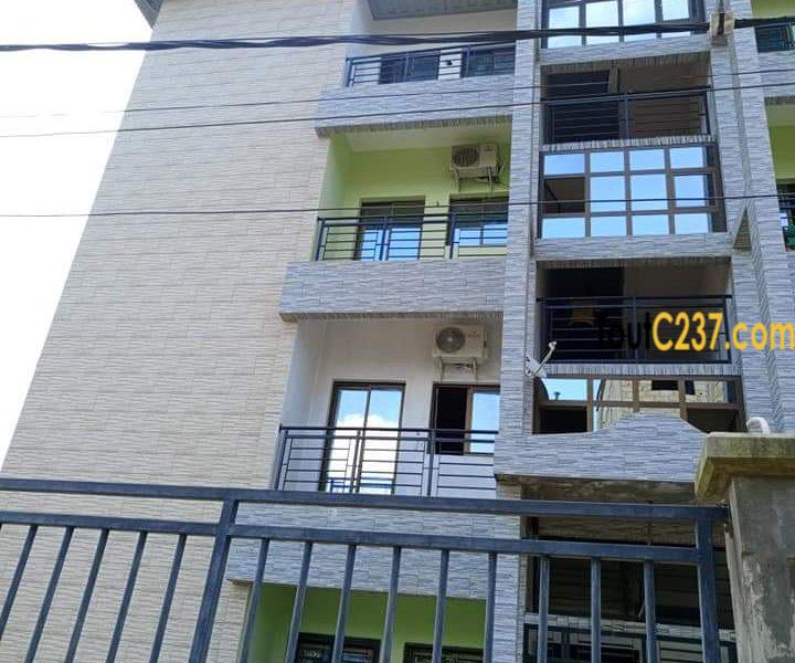 Appartement à louer à Kotto Résidence
