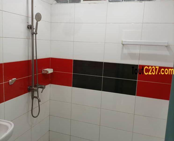 Maison sic meublée à louer à Makepe Douala