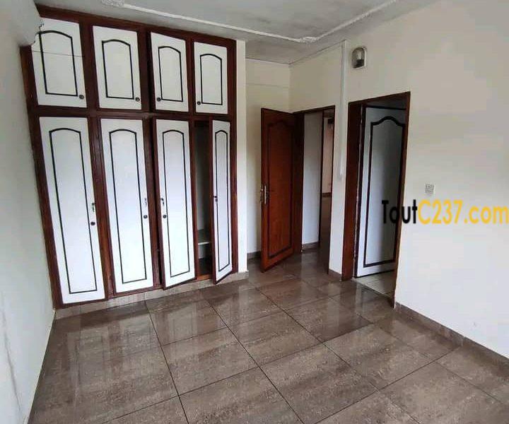 Appartement à louer à Bonapriso Douala