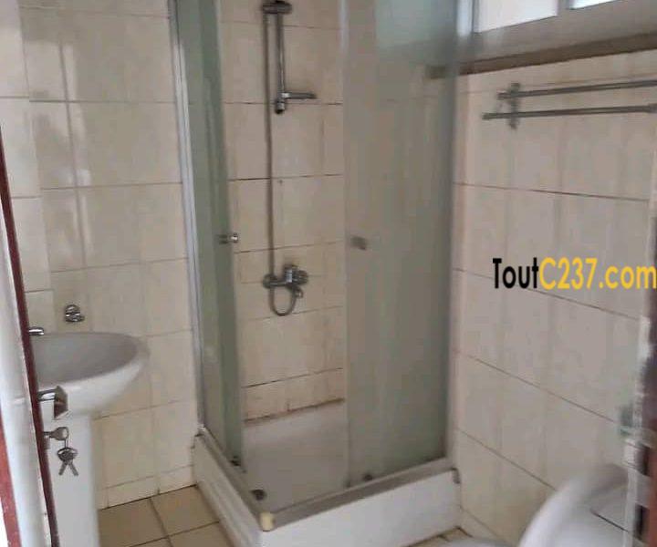 Appartement à louer à Bonapriso Douala