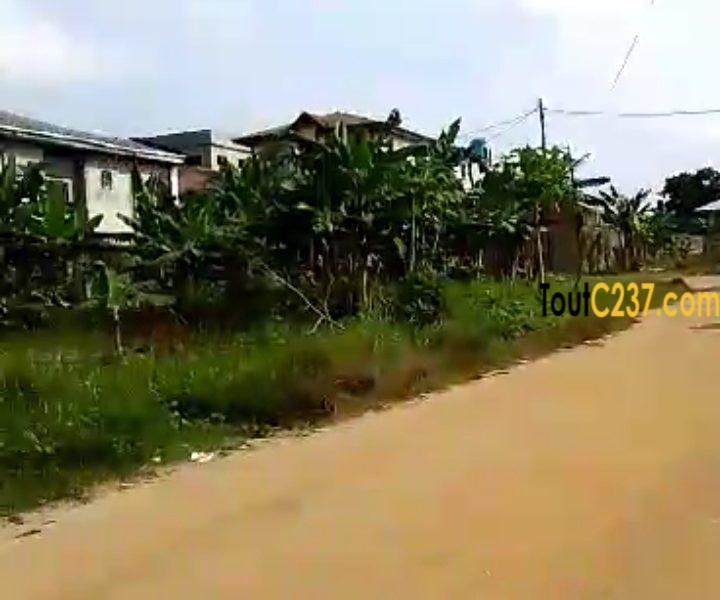 Terrain d'angle à vendre à Yassa Maetur